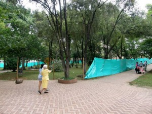 Las bombillas que se cambiarán permitirán ampliar la luminosidad en el parque.