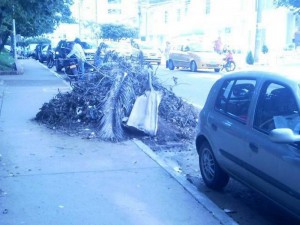 Los residentes de Conucos esperan que las empresas encargadas del barrido y recolección de escombros se apropien del caso.