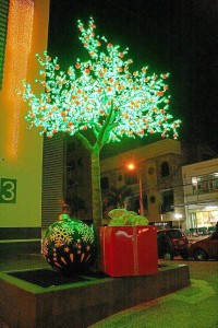 Los regalos a un lado del parque también ponen su acento Navideño.