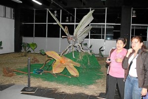 La exposición ‘Fantasía de Mariposas’ también está allí.