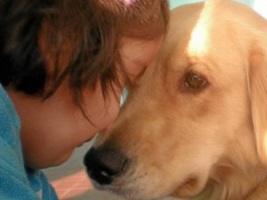 Cada vez es más común tener una mascota en los hogares de la ciudad.