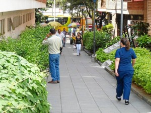 Los malos olores invaden la calle 53 con 33.