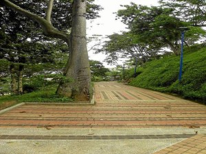 Así lucía este parque el pasado julio cuando fue entregado a la comunidad. 