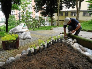 Esta semana se empezó a remover la tierra para sembrar las 300 plantas. La comunidad se ha unido y han pagado a una persona para que haga la poda. 