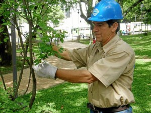 A Alirio uno lo puede encontrar de lunes a viernes de 7 a.m. – 12 m. y de 2 – 5:30 p.m. Y los sábados de 7 – 11 a.m. (FOTOS Jaime Del Río) 