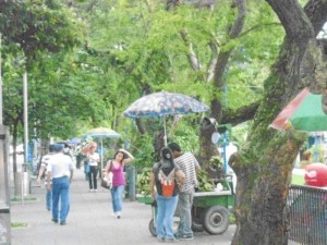 En un punto de la carrera 33 ya se notan ventas de plátano, yuca, cebolla y tomate.