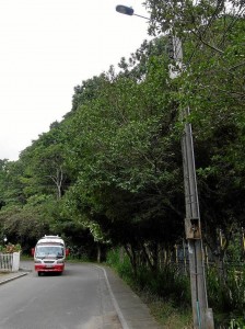 Sigue siendo un problema para los residentes de Pan de Azúcar el servicio público de transporte.