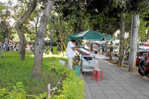 Los animalitos fueron abandonados en este parquecito.