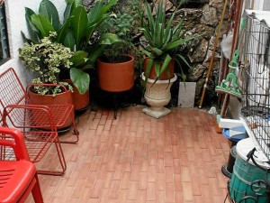 La casa del denunciante está ubicada en la carrera 46 entre calles 55 y 56. Este fue el patio que se inundó el lunes festivo. La casa del denunciante está ubicada en la carrera 46 entre calles 55 y 56. Este fue el patio que se inundó el lunes festivo.