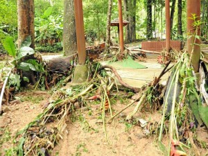 Los daños ecológicos en el parque fueron graves.Los daños ecológicos en el parque fueron graves.