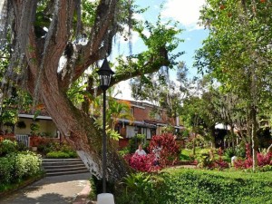 Este es el conjunto cerrado Los Cedros, construido hace cuarenta años. Su parte interior es un gran parque donde confluyen todas las casas. Los garajes quedan en la parte ex-terior.