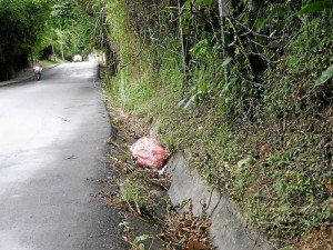 La limpieza de las cunetas en la vía hacia Toscana, es otra petición del sector.