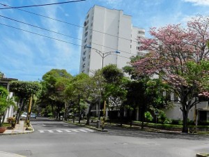 Avenida González Valencia de día.