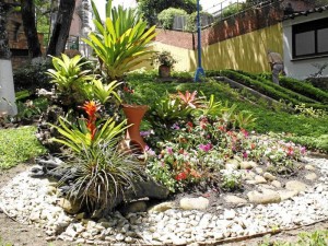 San Pío Estos jardines se mantienen hermosos gracias a la labor de tres señoras que trabajan en actividades pastorales de San Pío X.