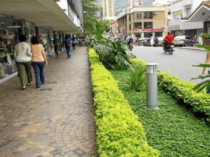 Cabecera Este corredor de la calle 51 entre carreras 33 y 34 le da un tono diferente al sector.