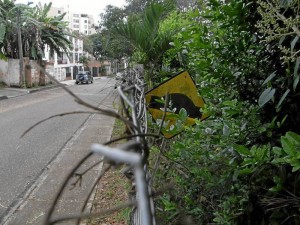 Sí, está dentro del Parque La Flora donde nadie la ve. Esto ocurre en la carrera 44 con 57 en Terrazas.(Foto Javier Gutiérrez )