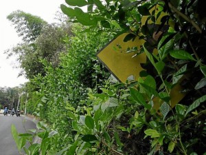 Esta no puede verse, está en la carrera 36 con calle 56, entre el colegio de La Presentación y el Parque La Flora.(Foto Javier Gutiérrez)