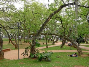 En el parque San Pío se llevará a cabo una de las actividades más importantes para el sector y que hace parte de la programación de la Feria Bonita. ( Foto Jaime Del Río )