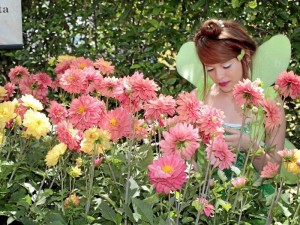 La variedad de flores en-galana al parque Mejoras Públicas.