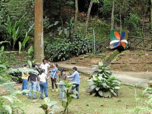 El verde abundante del parque más los espacios de diversión y cultura serán los atractivos para la actividad del fin de semana.