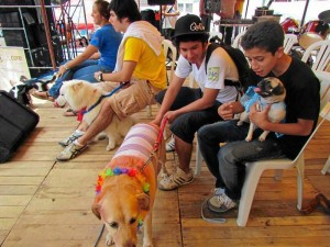 Concurso canino