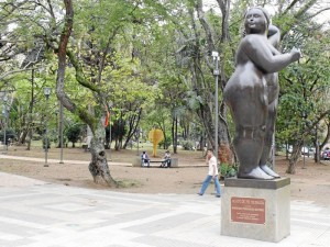 Desde varios puntos del parque se observa el deterioro del prado