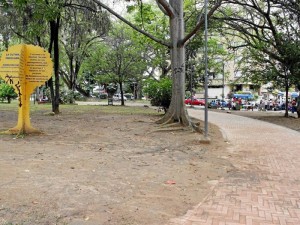 Además del estado de las zonas verdes, la Periodista del Barrio denuncia el aumento de ventas ambulantes.