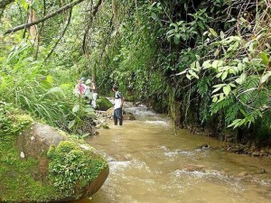 Algunos de los temas que se tratarán en el encuentro son: fauna silvestre y humedales, los impactos del cambio climático; cuencas, microcuencas y conservación de suelos, entre otros.