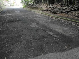 Calle 50 carrera 54, vía entre Pan de Azúcar bajos y Los Cedros