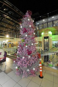 Un árbol lila da otro ambiente al cuarto piso de La Quinta.