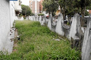 El jardín interior que rodea la vivienda es un basurero y foco de roedores.