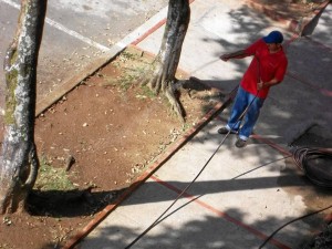 En la foto se aprecia el riego con agua potable.