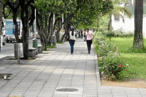 Otros sectores de la carrera 33 también fueron despejados.