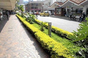 El Gobierno Municipal construirá jardines, antejardines y reparará algunos andenes de Cabecera.