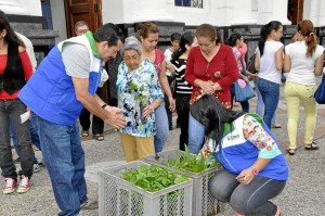 Las plantas se entregan en las entradas de las parroquias de la ciudad.