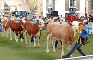 Agroferia 2013 abre, promueve y fortalece el crecimiento y promoción del sector agropecuario.  