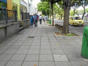 En este punto de carrera 33 entre calles 48 y 51 las raíces del árbol están levantando las losas y el borde del andén.