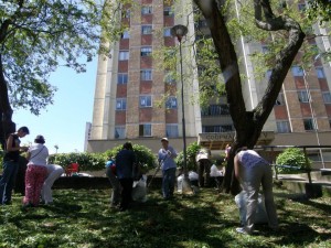 La JAC quiere seguir embelleciendo el barrio que está ubicado entre las calles 32 y 42 y carreras 27 y 33. - Jaime Del Río Quiroga / GENTE DE CABECERA