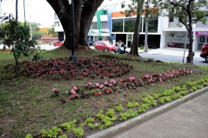 Así quedó el parque de la carrera 36 con calle 56 luego de las labores de la Red Protectora de Parques