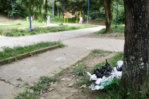 Los desechos de los perros a veces son abandonados en las máquinas del gimasio al aire libre del parque. - Archivo / GENTE DE CABECERA