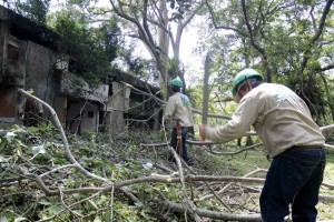 La jornada de limpieza se efectuó durante tres días