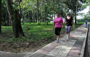 Con frecuencia muchas personas, la mayoría mujeres, madrugan a caminar en el parque La Flora. - Archivo / GENTE DE CABECERA