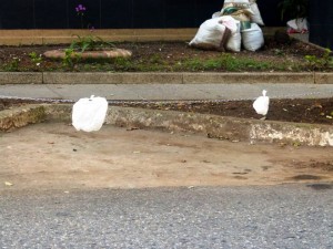 Con cadenas, un ciudadano bloqueó el estacionamiento en esta bahía pública. - Suministrada /GENTE DE CABECERA