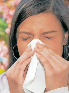 Tomado de www.cronica.com/GENTE DE CABECERAEn los últimos tiempos ha aumentado la cantidad de afectados por alergias.