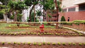 Los vecinos agradecen por esta labor y piden unidad para mantenerlo así por buen tiempo. - Suministrada/GENTE DE CABECERA