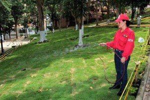 El riego del pasto aporta al embellecimiento del parque Los Sarrapios