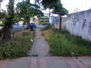 El lote de la calle 36 con carrera 33 está en total abandono. - Suministrada / GENTE DE CABECERA