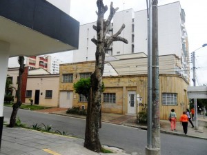 Hace dos semanas esta tala sacudió a varios vecinos de El Prado.