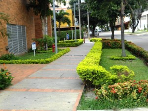 Las nuevas construcciones trajeron también la ampliación de andenes y de antejardines, ofreciendo así un paisaje agradable a la calle 42.