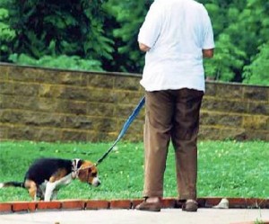 Una vez más los vecinos de altos de Pan de Azúcar piden recoger los excrementos a los amos de mascotas. - Tomada de Internet / GENTE DE CABECERA